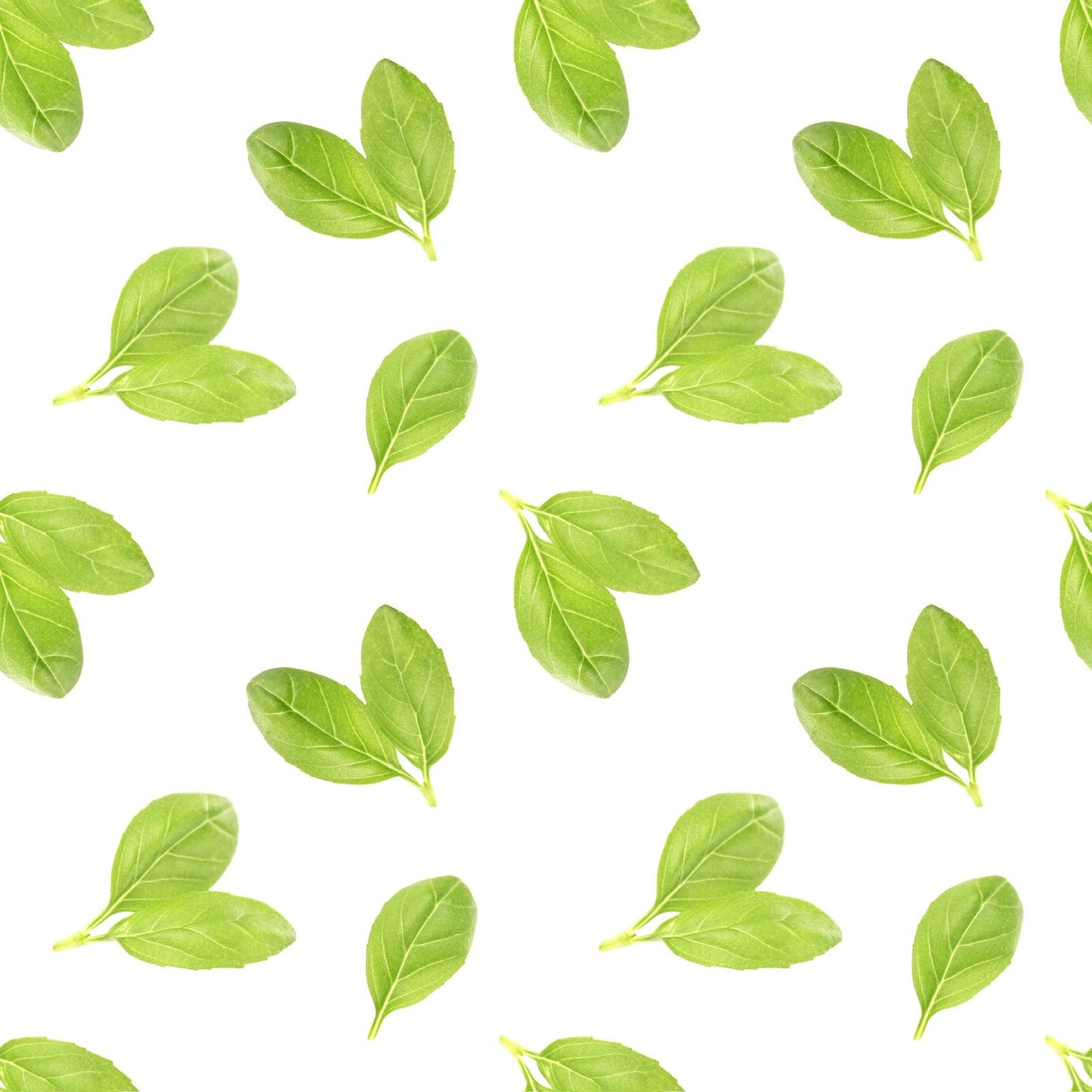 Evergreen Material Tablecloth