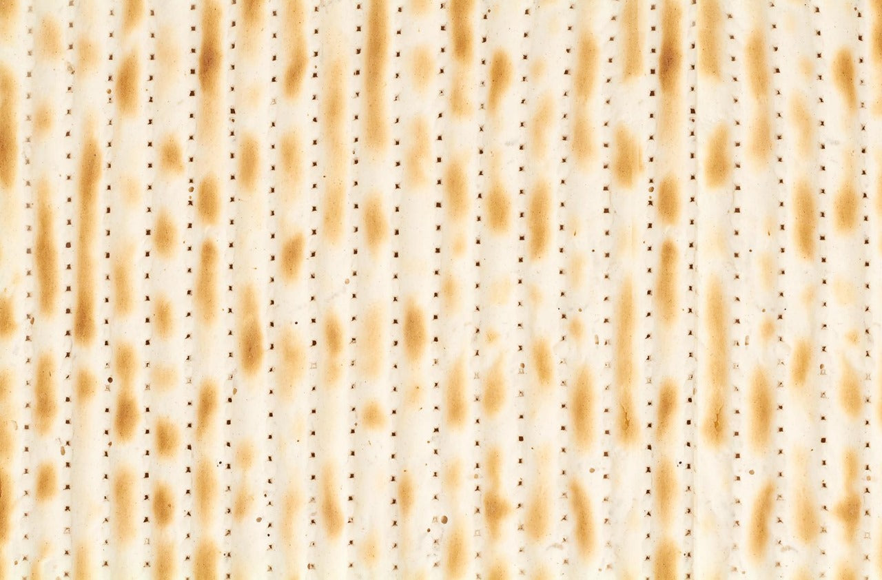 Matzah Wipeable Placemats
