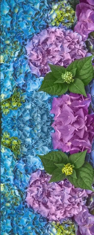 Pink Hydrangeas Material Tablecloth