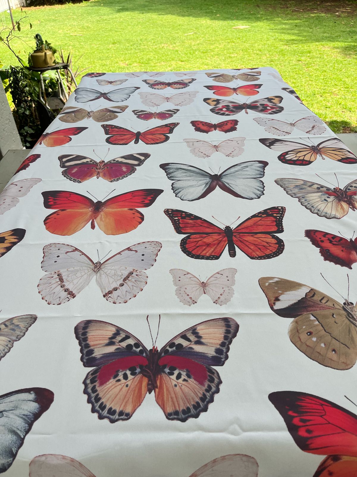 Vintage Butterfly PVC Tablecloth