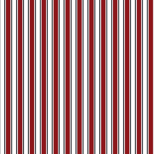 Red Stripes Round Wipeable Placemats