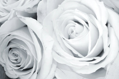 White Rose Round Material Tablecloth
