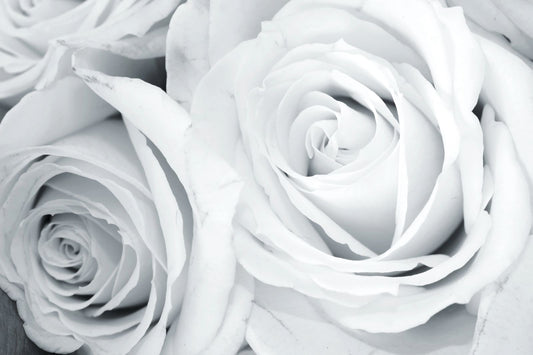 White Rose Round Material Tablecloth