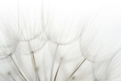 Dandelion Round Material Tablecloth
