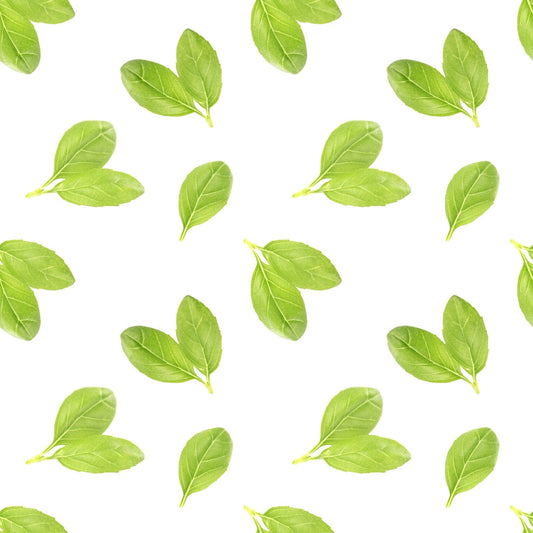 Evergreen Material Tablecloth