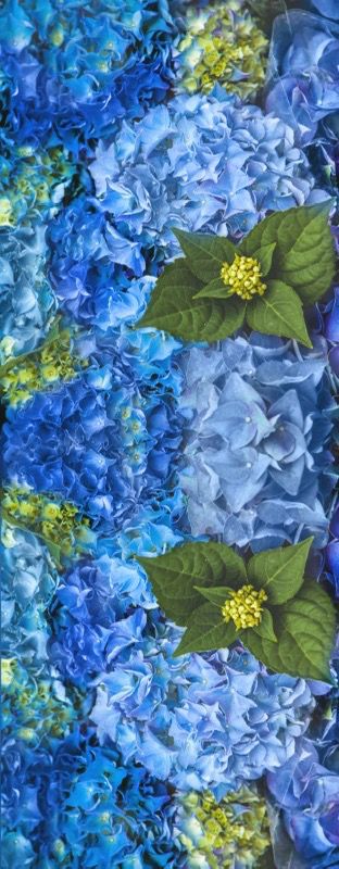 Blue Hydrangeas Round Material Tablecloth