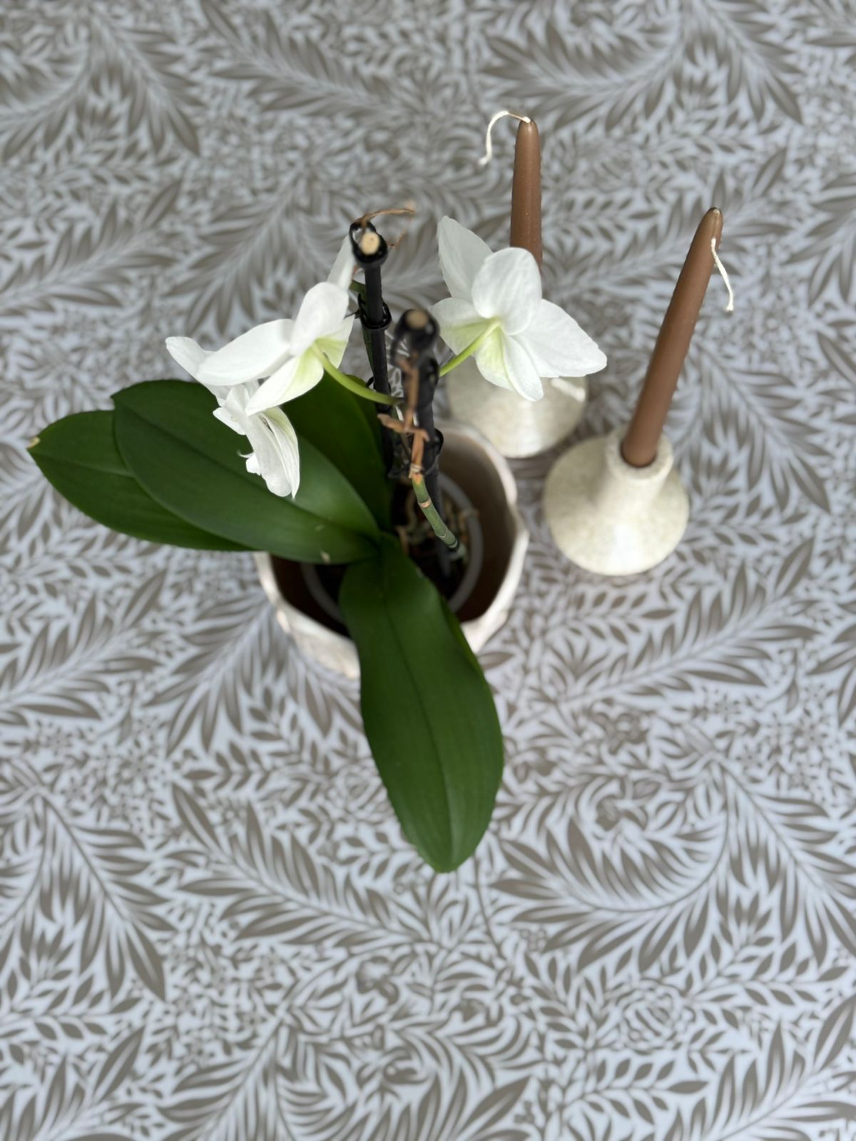 Black Friday Special 1