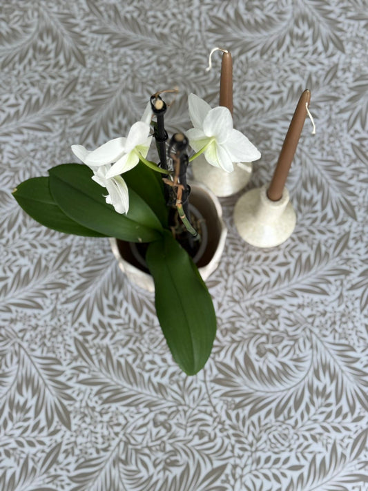 Black Friday Special 1