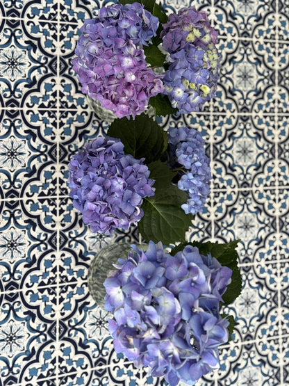 Black Friday Special 2