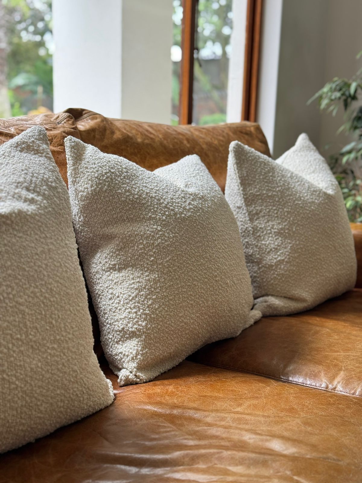 Scatter Cushions