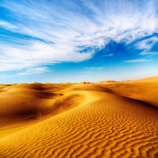 Desert Sukkah Walls