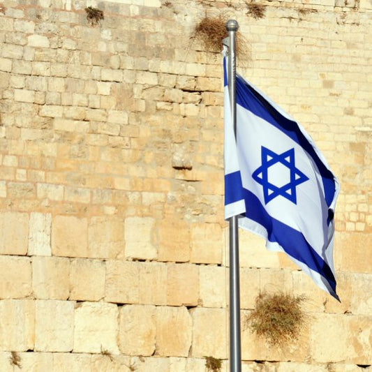 Kotel W Israeli Flag Sukkah Walls