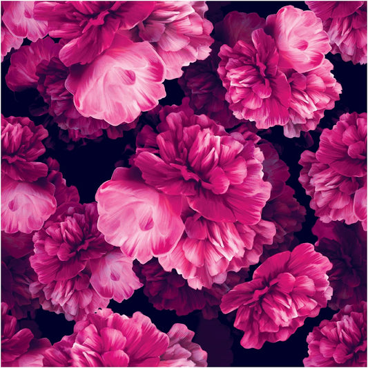 Peonie Up Close Round Wipeable Placemats