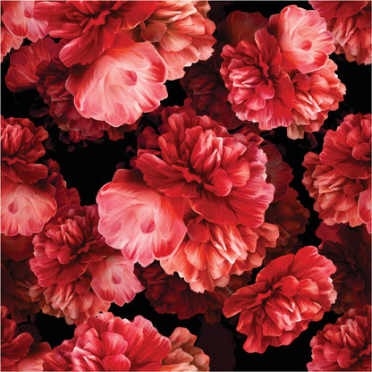 Peonie Up Close Material Tablecloth