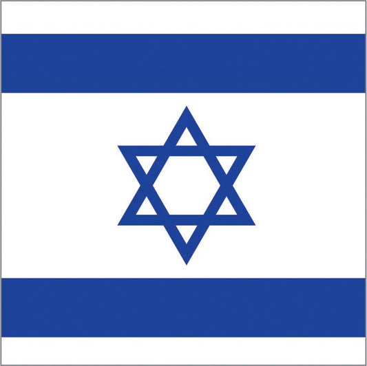 Israeli Flag Wipeable Placemats